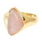 Preview: FAME Ring ROSA gold 2 mm