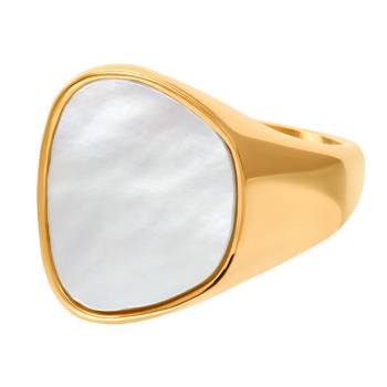 iXXXi FAME Ring COCO gold 2 mm